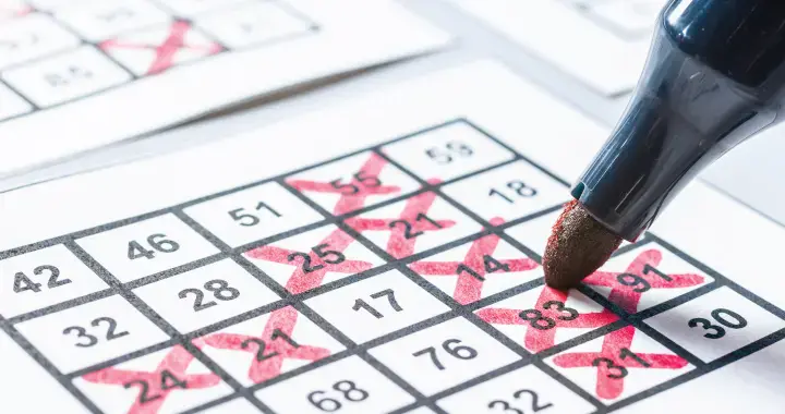 https://pailpermit.com/wp-content/uploads/2024/11/buzz-bingo-testimonial.jpg