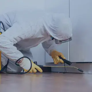 Pest Control